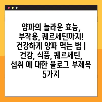양파의 놀라운 효능, 부작용, 퀘르세틴까지! 건강하게 양파 먹는 법 | 건강, 식품, 퀘르세틴, 섭취