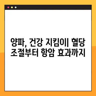 양파의 놀라운 효능, 부작용, 퀘르세틴까지! 건강하게 양파 먹는 법 | 건강, 식품, 퀘르세틴, 섭취