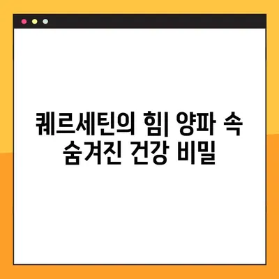 양파의 놀라운 효능, 부작용, 퀘르세틴까지! 건강하게 양파 먹는 법 | 건강, 식품, 퀘르세틴, 섭취