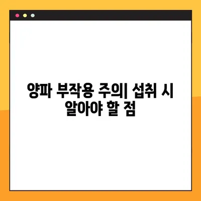 양파의 놀라운 효능, 부작용, 퀘르세틴까지! 건강하게 양파 먹는 법 | 건강, 식품, 퀘르세틴, 섭취