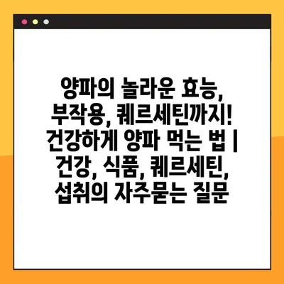 양파의 놀라운 효능, 부작용, 퀘르세틴까지! 건강하게 양파 먹는 법 | 건강, 식품, 퀘르세틴, 섭취