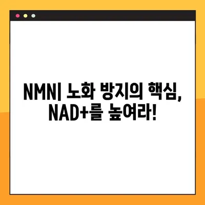NMN의 효능과 부작용| 레스베라트롤과 함께 알아보는 건강 비결 | 항노화, NAD+, 건강 보조 식품, 효과적인 복용법