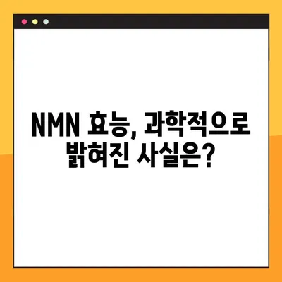 NMN의 효능과 부작용| 레스베라트롤과 함께 알아보는 건강 비결 | 항노화, NAD+, 건강 보조 식품, 효과적인 복용법