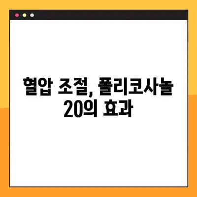 폴리코사놀 20 효과적인 복용법 & 주의사항 완벽 가이드 | 건강, 콜레스테롤, 혈압, 심혈관 질환, 부작용