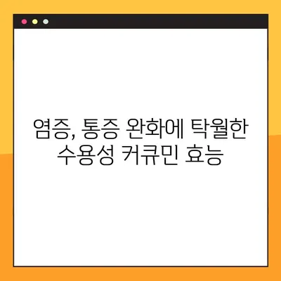 수용성 커큐민의 놀라운 효능과 안전한 복용법| 부작용까지 완벽 분석 | 커큐민 효능, 커큐민 부작용, 커큐민 복용법, 건강 정보