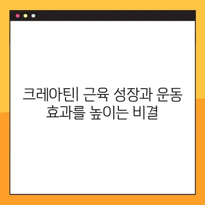 크레아틴 효과, 부작용, 복용법 완벽 정리| 검증된 후기와 함께 | 크레아틴, 근육 성장, 운동 효과, 부작용, 복용법