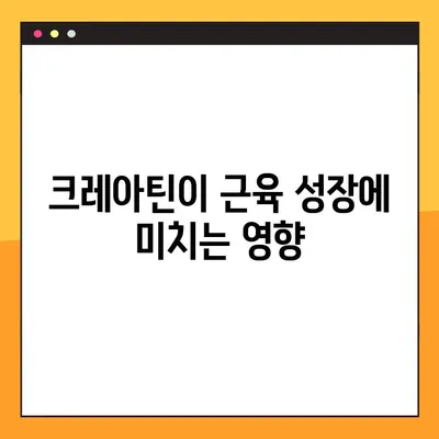 크레아틴| 효능, 부작용, 복용법 & 실제 후기까지 완벽 정리 | 운동, 근육 성장, 건강, 보충제