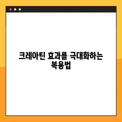 크레아틴| 효능, 부작용, 복용법 & 실제 후기까지 완벽 정리 | 운동, 근육 성장, 건강, 보충제