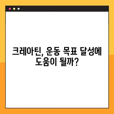 크레아틴| 효능, 부작용, 복용법 & 실제 후기까지 완벽 정리 | 운동, 근육 성장, 건강, 보충제