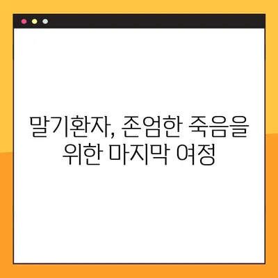 연명치료 거부, 나의 선택을 존중하는 방법| 사전연명의료의향서 작성 가이드 | 연명의료, 의료결정, 의료대리인,  말기환자