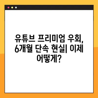 유튜브 프리미엄 우회 6개월 국가 단속, 이제 어떻게 해야 할까요? | 유튜브 프리미엄, 우회, 단속, 대처 방안