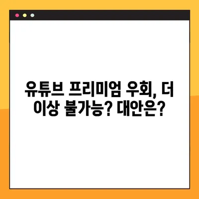 유튜브 프리미엄 우회 6개월 국가 단속, 이제 어떻게 해야 할까요? | 유튜브 프리미엄, 우회, 단속, 대처 방안