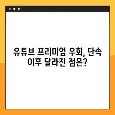 유튜브 프리미엄 우회 6개월 국가 단속, 이제 어떻게 해야 할까요? | 유튜브 프리미엄, 우회, 단속, 대처 방안