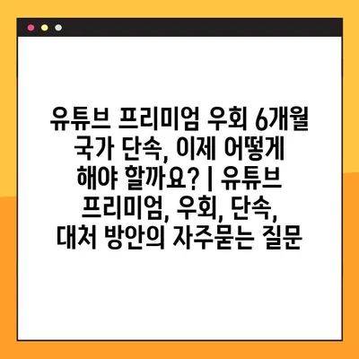 유튜브 프리미엄 우회 6개월 국가 단속, 이제 어떻게 해야 할까요? | 유튜브 프리미엄, 우회, 단속, 대처 방안