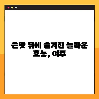 여주, 향긋한 맛과 건강 효능으로 당신의 건강을 책임지다 | 여주 효능, 여주 먹는법, 여주 레시피, 여주 차