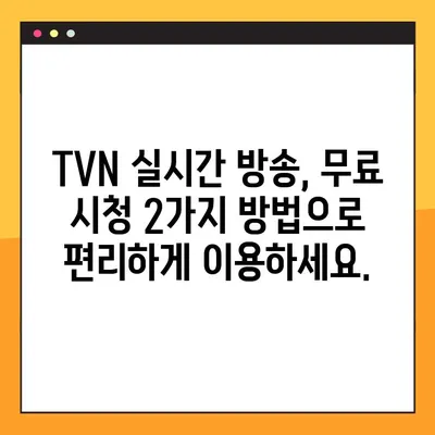 TVN 실시간 무료 시청, 지금 바로 2가지 방법으로 즐기세요! | TVN, 실시간 방송, 무료 시청, 드라마, 예능