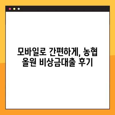 농협 올원 비상금대출, 모바일로 5분 만에 신청 완료! 후기 | 비상금대출, 농협, 올원, 모바일 신청, 후기