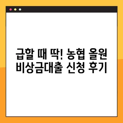 농협 올원 비상금대출, 모바일로 5분 만에 신청 완료! 후기 | 비상금대출, 농협, 올원, 모바일 신청, 후기