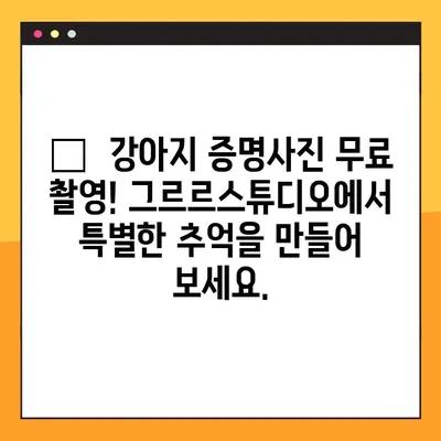 강아지 증명사진 무료! 그르르스튜디오에서 찰칵📸 | 강아지 사진, 증명사진, 무료 촬영, 그르르 스튜디오