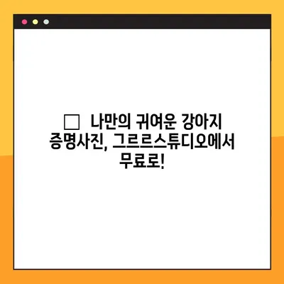 강아지 증명사진 무료! 그르르스튜디오에서 찰칵📸 | 강아지 사진, 증명사진, 무료 촬영, 그르르 스튜디오