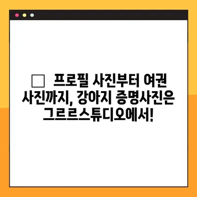 강아지 증명사진 무료! 그르르스튜디오에서 찰칵📸 | 강아지 사진, 증명사진, 무료 촬영, 그르르 스튜디오