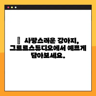 강아지 증명사진 무료! 그르르스튜디오에서 찰칵📸 | 강아지 사진, 증명사진, 무료 촬영, 그르르 스튜디오