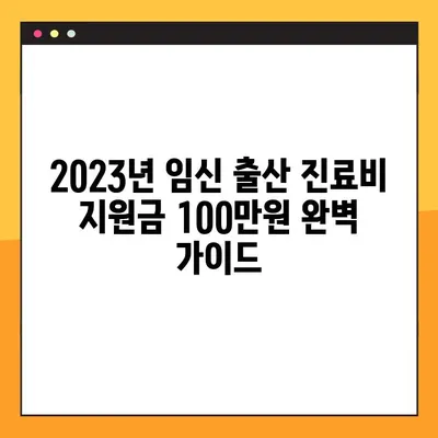 2023년 임신 출산 진료비 지원금 100만원, 신청 방법 완벽 가이드 |  지원 대상, 서류, 절차 총정리