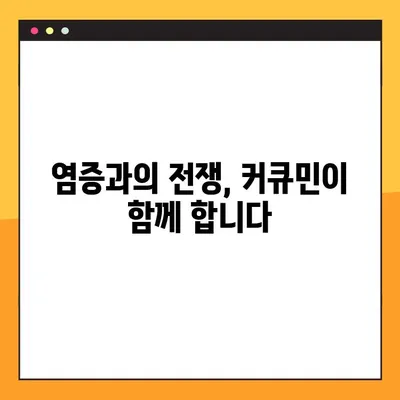 커큐민의 모든 것| 효능, 부작용, 복용법 완벽 가이드 | 건강, 염증, 항산화, 섭취 방법