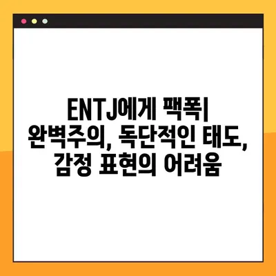 ENTJ 유형 완벽 분석| 6가지 핵심 특징 & 성격, 직업, 연애, 궁합, 팩폭, 연예인 | ENTJ 심층 이해