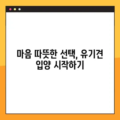 유기견 무료 분양 사이트, 입양 절차 완벽 가이드 | 유기견 입양, 입양 준비, 입양 후 관리