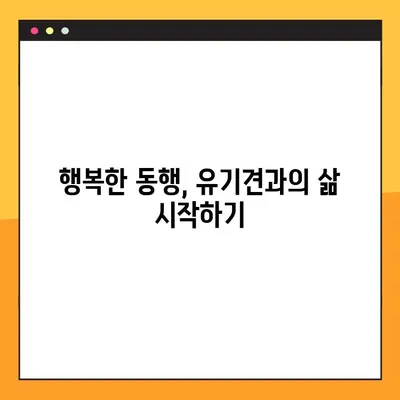 유기견 무료 분양 사이트, 입양 절차 완벽 가이드 | 유기견 입양, 입양 준비, 입양 후 관리