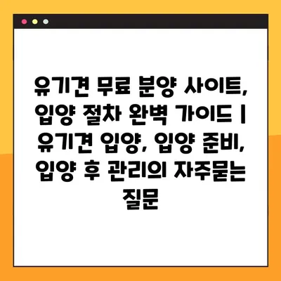 유기견 무료 분양 사이트, 입양 절차 완벽 가이드 | 유기견 입양, 입양 준비, 입양 후 관리