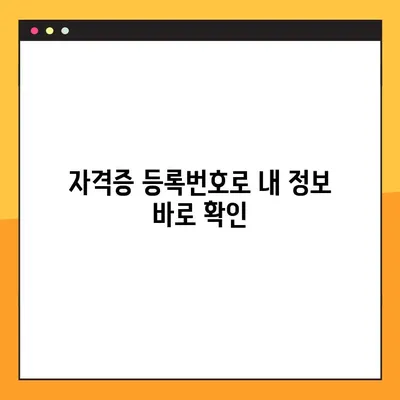 내 자격증 정보 찾기| 등록번호로 간편하게 조회하는 방법 | 자격증 조회, 자격증 정보, 온라인 조회, 자격증 확인