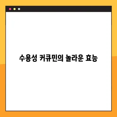 수용성 커큐민| 효능, 부작용, 복용법 완벽 가이드 | 건강, 흡수율, 커큐민 효과 극대화