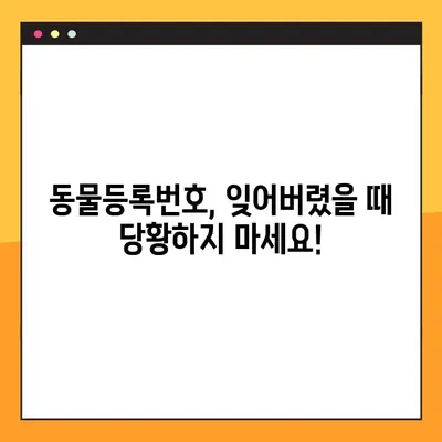 내 반려동물, 등록번호 잊어버렸어요? 3가지 방법으로 쉽게 찾는 방법! | 동물등록번호 조회, 확인, 찾기