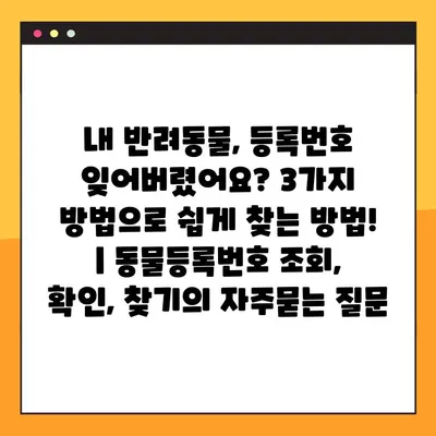 내 반려동물, 등록번호 잊어버렸어요? 3가지 방법으로 쉽게 찾는 방법! | 동물등록번호 조회, 확인, 찾기