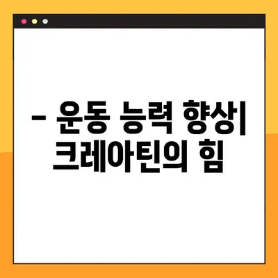 크레아틴의 효능, 부작용, 복용법 완벽 가이드 | 근육 성장, 운동 능력 향상, 건강 정보