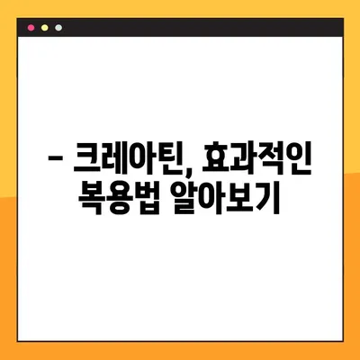 크레아틴의 효능, 부작용, 복용법 완벽 가이드 | 근육 성장, 운동 능력 향상, 건강 정보