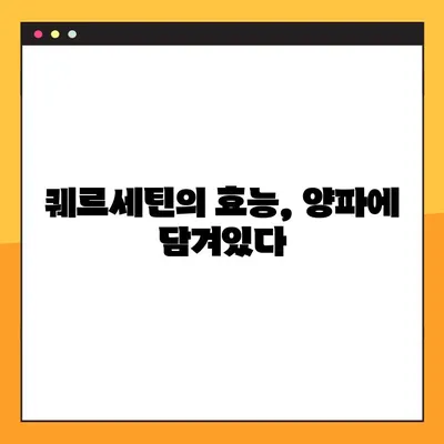 양파의 놀라운 효능| 혈당 낮추는 비밀, 양파즙 부작용, 복용법 & 퀘르세틴의 효과 | 건강, 당뇨, 혈당, 퀘르세틴, 양파즙