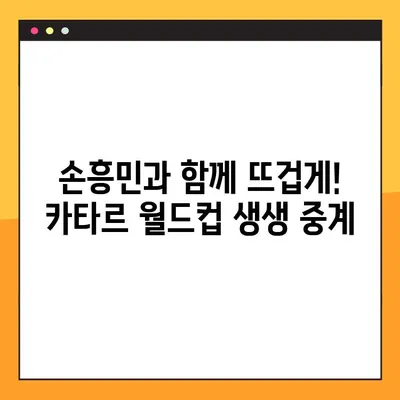 2022 카타르 월드컵 무료 중계| 네이버스포츠에서 실시간 경기 시청하기 | 월드컵, 축구, 중계, 무료, 네이버