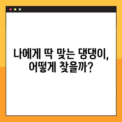 🐶 나에게 딱 맞는 댕댕이 찾기! 200가지 강아지 종류 총정리 | 견종백과, 강아지 입양 가이드