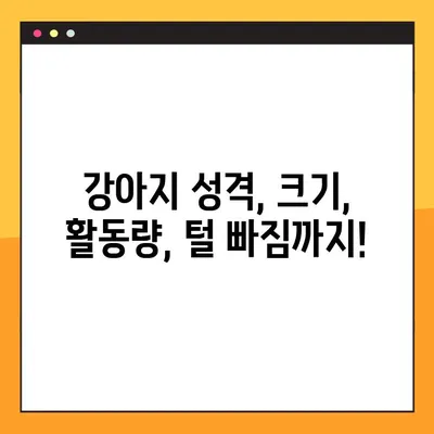 🐶 나에게 딱 맞는 댕댕이 찾기! 200가지 강아지 종류 총정리 | 견종백과, 강아지 입양 가이드