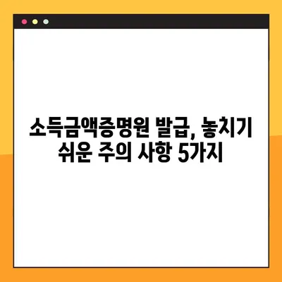 소득금액증명원 발급 완벽 가이드| 홈택스, 손택스, 무인민원발급기 | 발급 방법, 필요 서류, 주의 사항