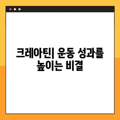 크레아틴의 효과와 부작용| 안전하게 섭취하는 방법 | 크레아틴, 운동, 근육, 건강, 보충제