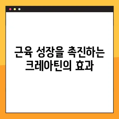 크레아틴의 효과와 부작용| 안전하게 섭취하는 방법 | 크레아틴, 운동, 근육, 건강, 보충제