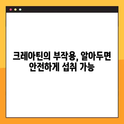 크레아틴의 효과와 부작용| 안전하게 섭취하는 방법 | 크레아틴, 운동, 근육, 건강, 보충제