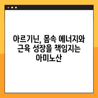 아르기닌 효능 & 안전 복용법| 풍부한 식품과 함께 건강 챙기기 | 건강, 영양, 아미노산, 식단