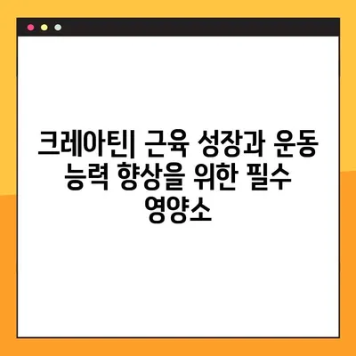 크레아틴의 모든 것| 효능, 부작용, 복용법, 관리 후기 & 전문가 팁 | 근육 성장, 운동 성능, 건강