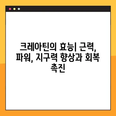 크레아틴의 모든 것| 효능, 부작용, 복용법, 관리 후기 & 전문가 팁 | 근육 성장, 운동 성능, 건강