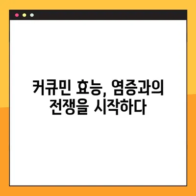 커큐민의 모든 것| 효능, 부작용, 복용법 완벽 가이드 | 건강, 염증, 항산화, 섭취 방법